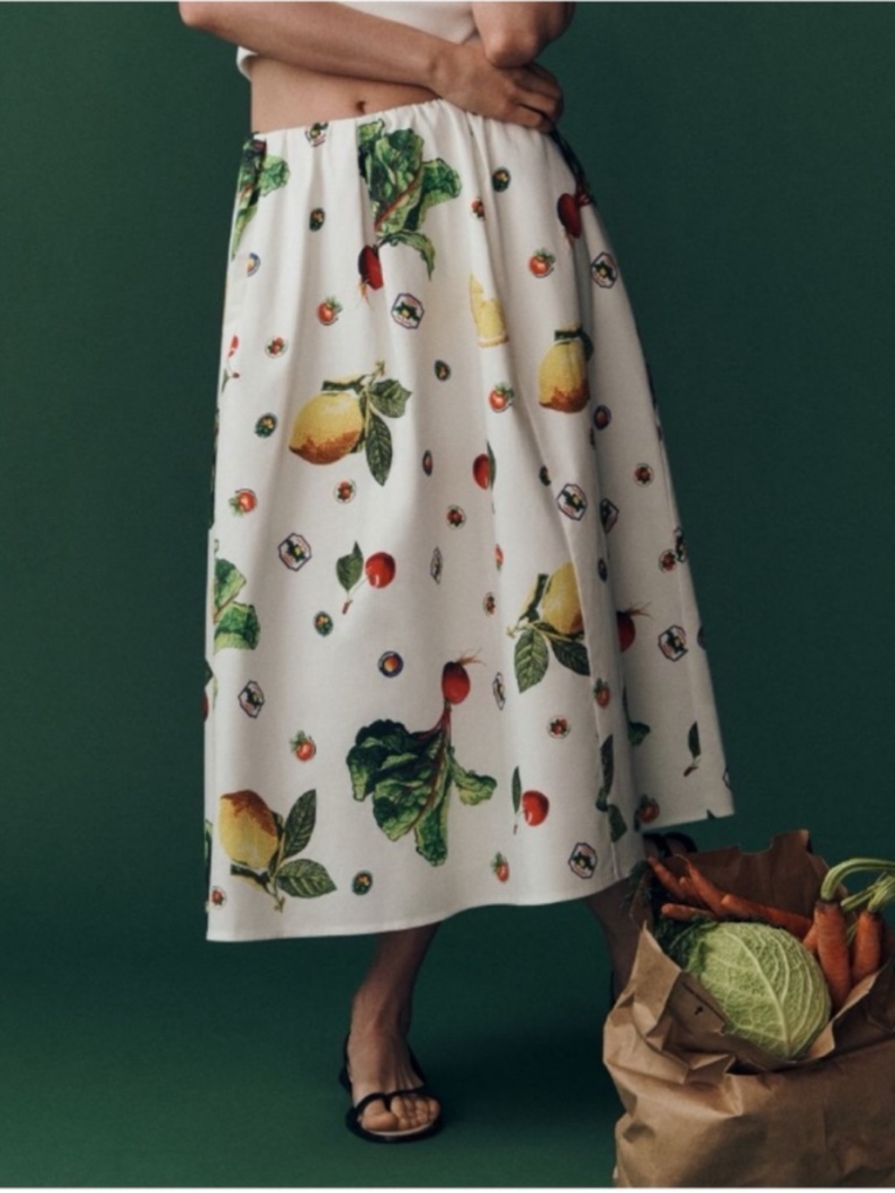 NWT Anthropologie Maeve The Jacie Fruit Printed Midi w/ side pockets Skirt, S